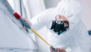 Best Pest Control for Multi-Family Homes  in Olathe, CO